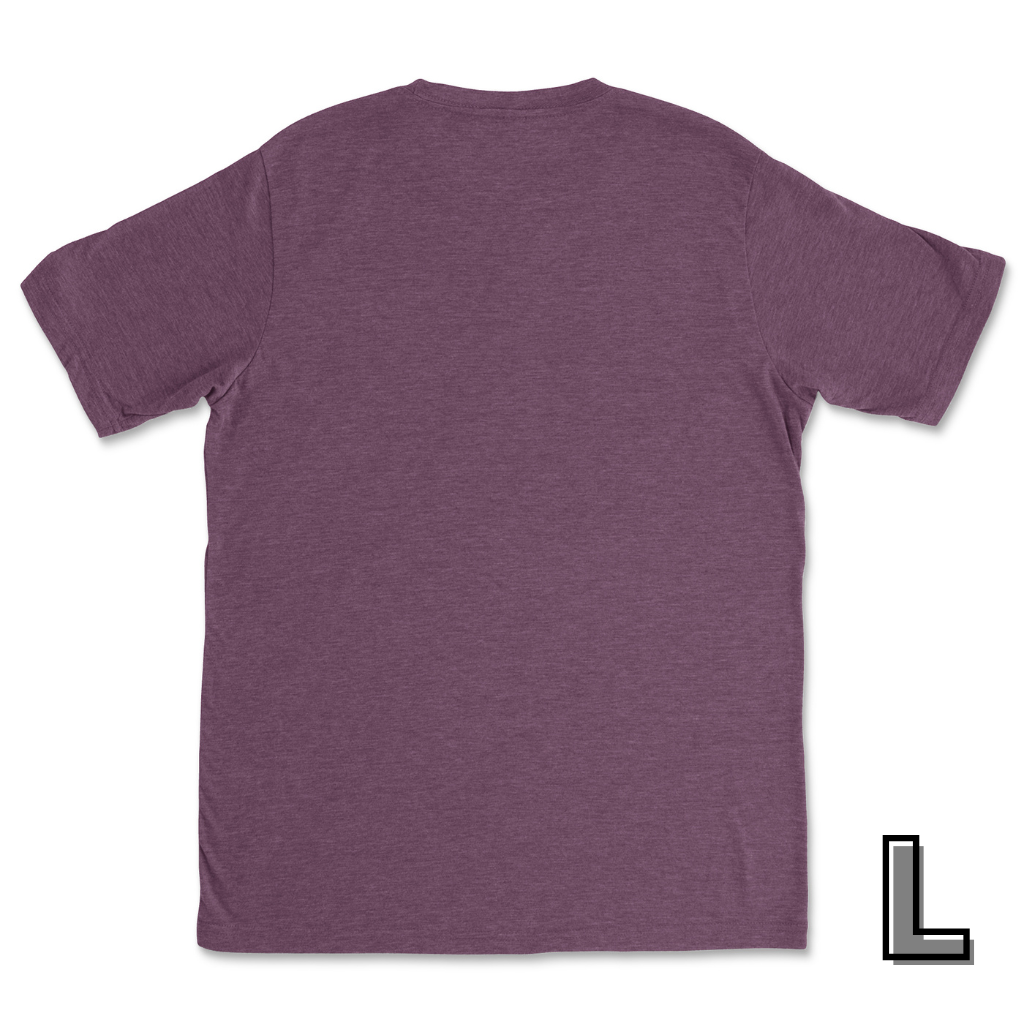 Unisex Tri-blend T