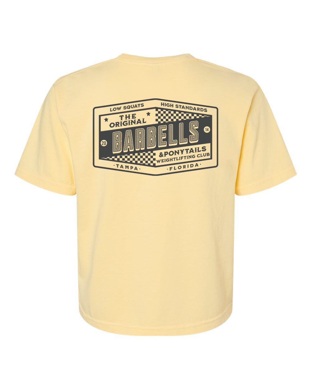 B&P Boxy Modest Crop T