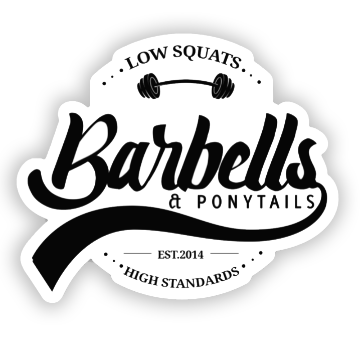 Low Squats// High Standards Decal